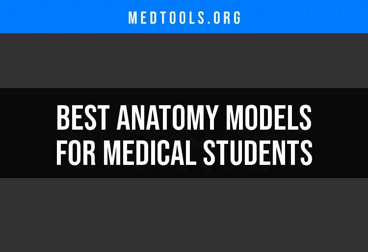 Top 10 Anatomy Models for Aspiring Medical Students